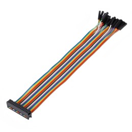 1 pcs : MIKROE-2317 - Cable Assembly Rectangular 26 pos Socket to Tip Sockets (26) 0.66' (200.0mm)