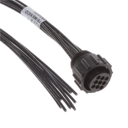 1 pcs : 2387116-1 - Cable Assembly 1.64' (500.00mm)