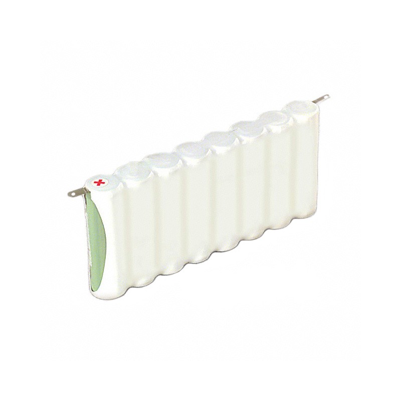 1 pcs : LR6 C/BF8 - AA 12 V Alkaline Manganese Dioxide Battery Pack