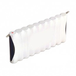 1 pcs : LR6 C/BF10 - AA 15 V Alkaline Manganese Dioxide Battery Pack