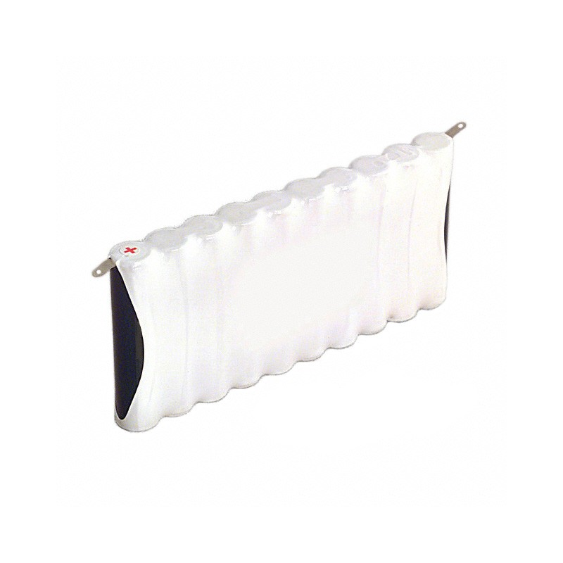 1 pcs : LR6 C/BF10 - AA 15 V Alkaline Manganese Dioxide Battery Pack