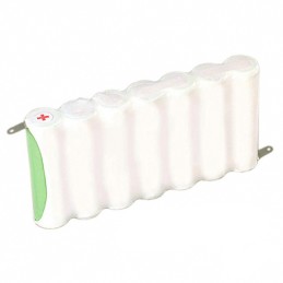 1 pcs : EN91F7 - AA 10.5 V Alkaline Manganese Dioxide Battery Pack