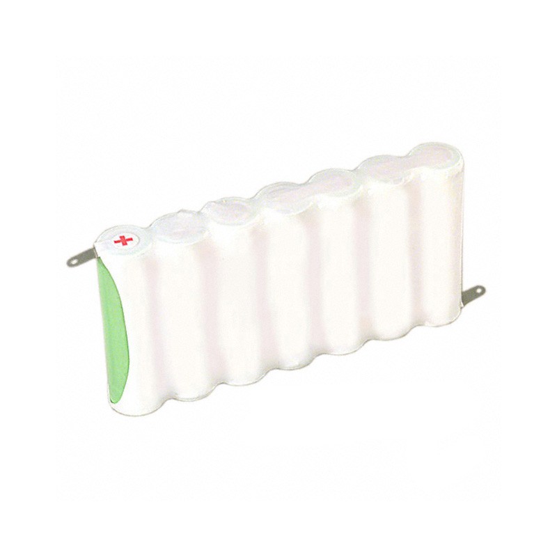 1 pcs : EN91F7 - AA 10.5 V Alkaline Manganese Dioxide Battery Pack