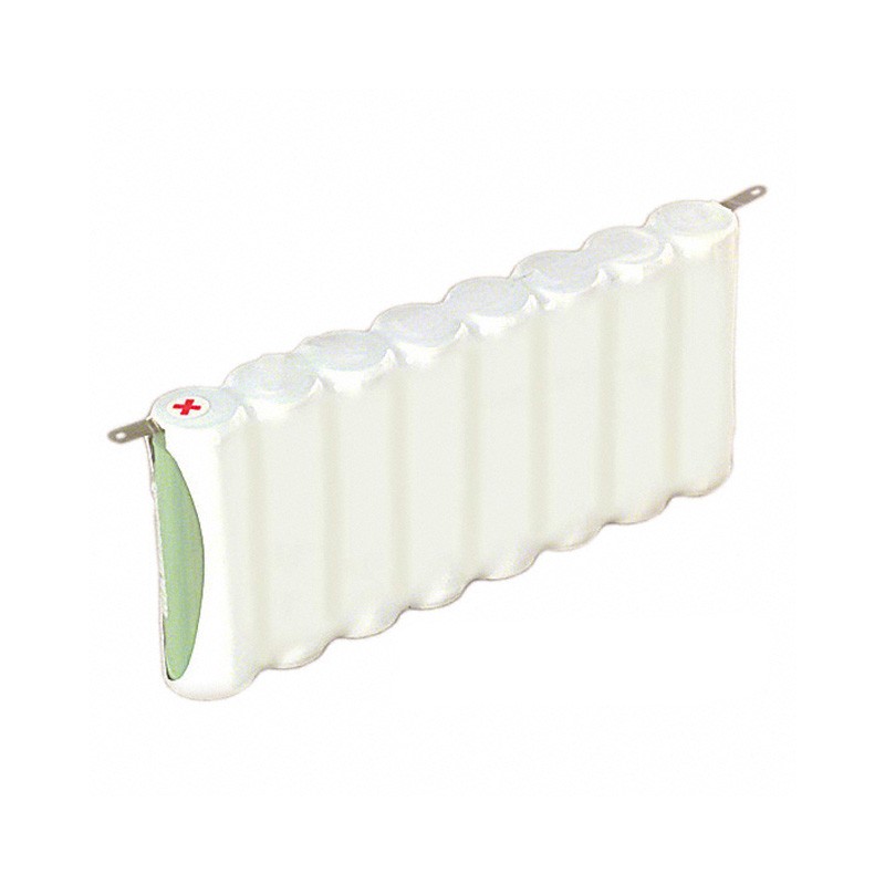 1 pcs : EN91F8 - AA 12 V Alkaline Manganese Dioxide Battery Pack