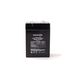 1 pcs : BW 645 - 6 V Sealed Lead Acid (SLA, VRLA) Battery Rechargeable (Secondary) 4.5Ah
