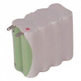 1 pcs : EN93F2X4 - C 12 V Alkaline Manganese Dioxide Battery Pack