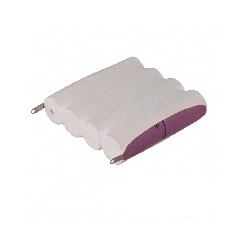 1 pcs : EN93L2X4 - C 12 V Alkaline Manganese Dioxide Battery Pack