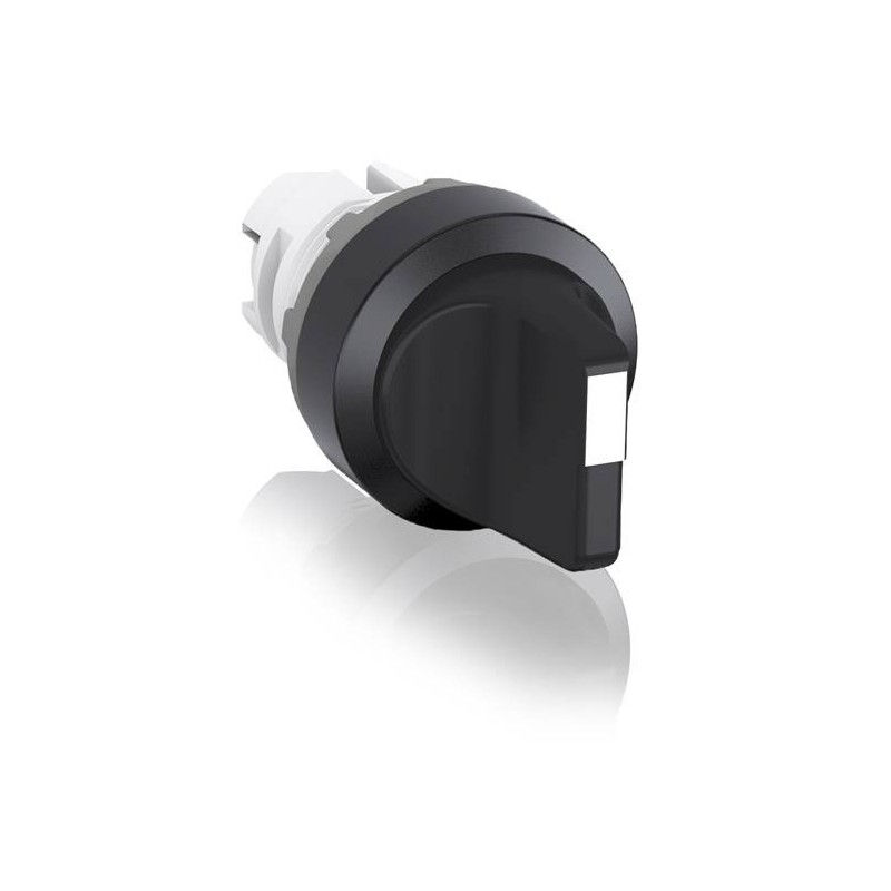 1 pcs - ABB 2P Pole Isolator Switch -