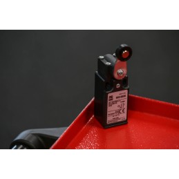1 pcs - RS PRO Roller Lever Limit Switch, NO/NC, IP65, DPST, Thermoplastic Housing, 400V ac Max, 4A Max