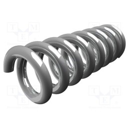 10 pcs : P10000000M - Spring, IT-P10000000G