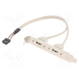 10 pcs : CCUSBRECEPTACLE - Transition: adapter, USB A socket x2,10pin pin header, 0.25m
