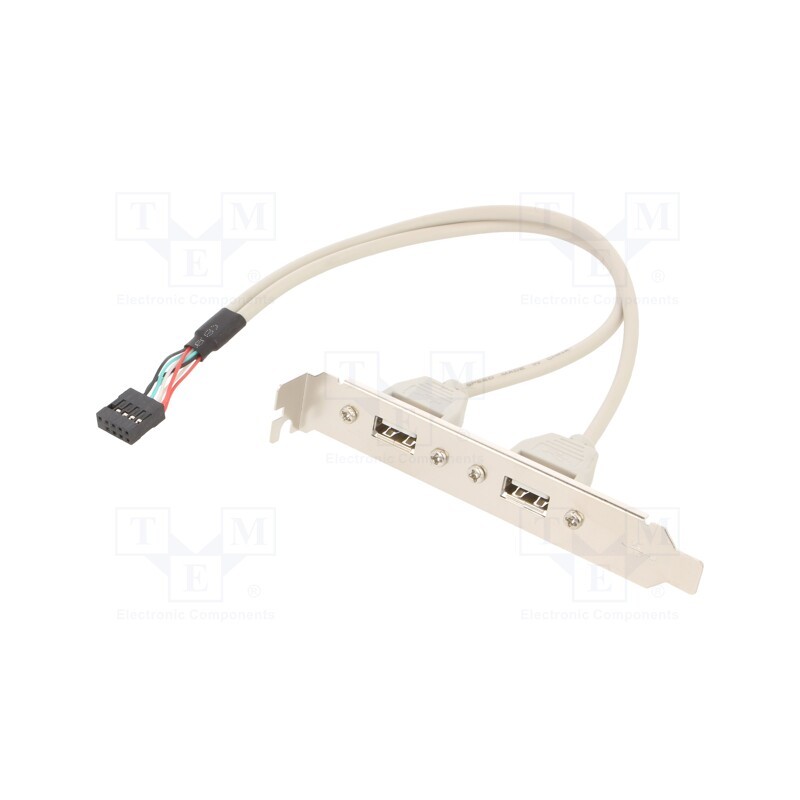 10 pcs : CCUSBRECEPTACLE - Transition: adapter, USB A socket x2,10pin pin header, 0.25m