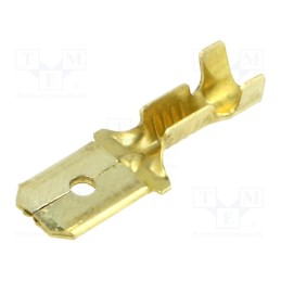 50 pcs : BM 02180 - Terminal: flat, 6.3mm, 0.8mm, male, 0.5÷1mm2, crimped, for cable