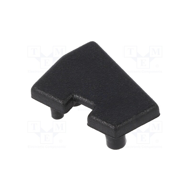 10 set : A9950002 -AS - Cap for LED profiles, black, 2pcs, ABS, GEN2,with hole, EDGE10