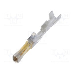 50 pcs : 16020098 - SL Term Crp F Box 30SAu 2430 Loose