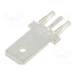 10 pcs : 216843-1 - Terminal: flat, 6.3mm, 0.8mm, male, THT, phosphor bronze, none