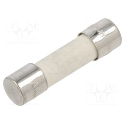 10 pcs : BK1-S501-5-R - Fuse: fuse, quick blow, 5A, 250VAC, ceramic,cylindrical, 5x20mm
