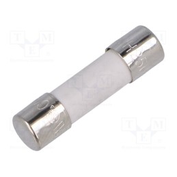 20 pcs : UDA 800MA 250V - Fuse: fuse, time-lag, 800mA, 250VAC, ceramic,cylindrical, 5x20mm