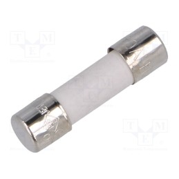 20 pcs : UDA 10A 250V - Fuse: fuse, time-lag, 10A, 250VAC, ceramic,cylindrical, 5x20mm