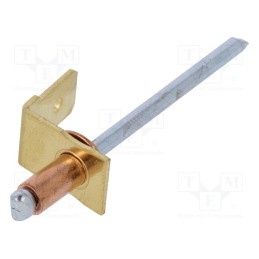 10 pcs : 387811.6 - Terminal: flat, 6.3mm, 0.8mm, male, with copper rivet, riveted