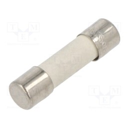 10 pcs : BK1-S505-4-R - Fuse: fuse, time-lag, 4A, 250VAC, ceramic,cylindrical, 5x20mm, S505