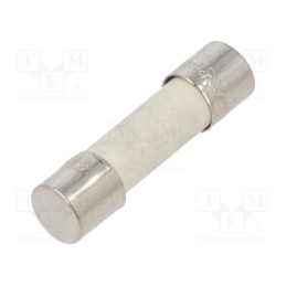 10 pcs : BK1-S505-10-R - Fuse: fuse, time-lag, 10A, 250VAC, ceramic,cylindrical, 5x20mm