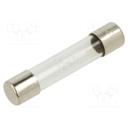 10 pcs : FSA-750MA - Fuse: fuse, quick blow, 750mA, 250VAC, glass, 6.3x32mm, brass, FSA