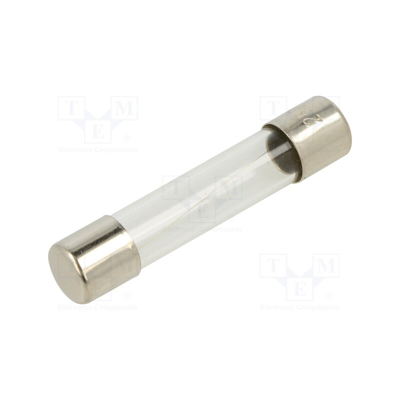 10 pcs : FSA-750MA - Fuse: fuse, quick blow, 750mA, 250VAC, glass, 6.3x32mm, brass, FSA