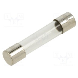 10 pcs : FSA-600MA - Fuse: fuse, quick blow, 600mA, 250VAC, glass, 6.3x32mm, brass, FSA