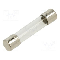 10 pcs : FSA-500MA - Fuse: fuse, quick blow, 500mA, 250VAC, glass, 6.3x32mm, brass, FSA