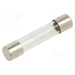 10 pcs : FSA-4A - Fuse: fuse, quick blow, 4A, 250VAC, glass, 6.3x32mm, brass, FSA, bulk