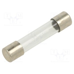 10 pcs : FSA-3.15A - Fuse: fuse, quick blow, 3.15A, 250VAC, glass, 6.3x32mm, brass, FSA