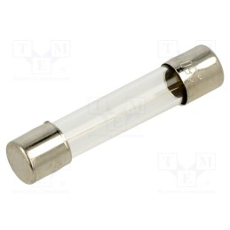 10 pcs : FSA-2A - Fuse: fuse, quick blow, 2A, 250VAC, glass, 6.3x32mm, brass, FSA, bulk