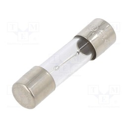 10 pcs : TSC-1.6A - Fuse: fuse, time-lag, 1.6A, 250VAC, glass, 5x20mm, brass, TSC, bulk