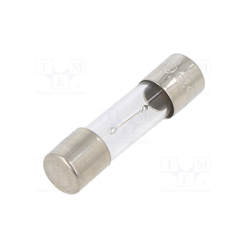 10 pcs : TSC-1.6A - Fuse: fuse, time-lag, 1.6A, 250VAC, glass, 5x20mm, brass, TSC, bulk