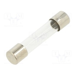 10 pcs : FSA-10A - Fuse: fuse, quick blow, 10A, 250VAC, glass, 6.3x32mm, brass, FSA
