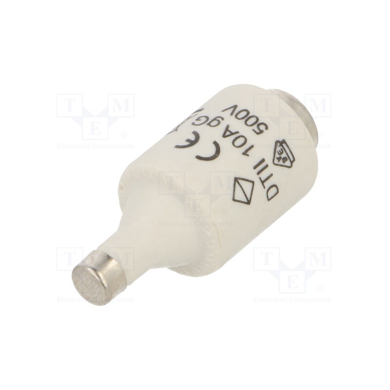 10 pcs : LE2710 - Fuse: fuse, gG,time-lag, 10A, 500VAC, DII