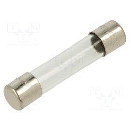 10 pcs : FSA-315MA - Fuse: fuse, quick blow, 315mA, 250VAC, glass, 6.3x32mm, brass, FSA