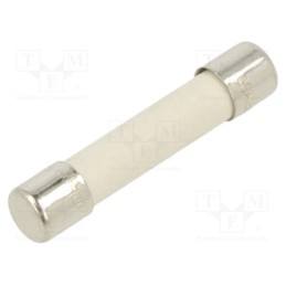 10 pcs : GSA 15-R - Fuse: fuse, time-lag, 15A, 250VAC, cylindrical,glass, brass, GSA