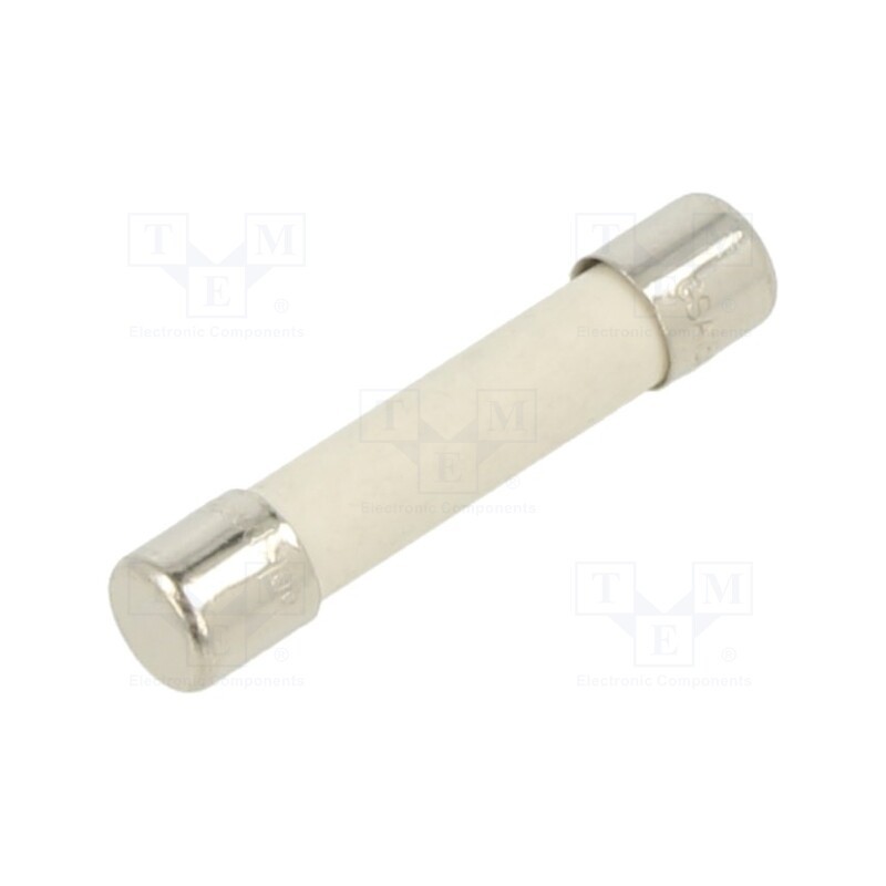 10 pcs : GSA 15-R - Fuse: fuse, time-lag, 15A, 250VAC, cylindrical,glass, brass, GSA