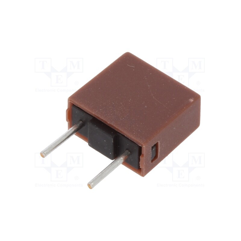 10 pcs : 883117 - Fuse: fuse, time-lag, 1A, 250VAC, TE5, 883.100