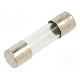 10 pcs : FSD-1.6A - Fuse: fuse, quick blow, 1.6A, 250VAC, glass, 5x20mm, brass, bulk