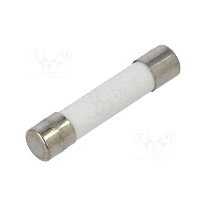 10 pcs : FCA-2A - Fuse: fuse, quick blow, 2A, 250VAC, ceramic, 6.3x32mm, brass