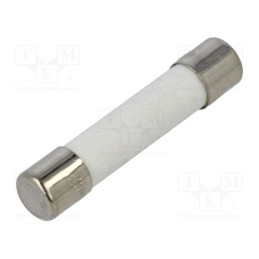 10 pcs : FCA-15A - Fuse: fuse, quick blow, 15A, 250VAC, ceramic, 6.3x32mm, brass