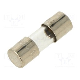 20 pcs : FSE-6A - Fuse: fuse, quick blow, 6A, 250VAC, glass, 5x15mm