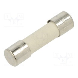 10 pcs : 34.2521 - Fuse: fuse, medium time-lag, 3.15A, 250VAC, ceramic,cylindrical