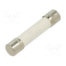 10 pcs : FCA-10A - Fuse: fuse, quick blow, 10A, 250VAC, ceramic, 6.3x32mm, brass