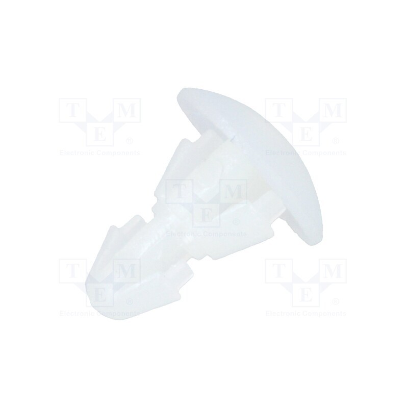 100 pcs : FIX-RCA-2.5 - Assembly stud, polyamide, L: 2.5mm, snap fastener, natural