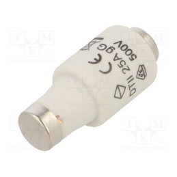 10 pcs : LE2725 - Fuse: fuse, gG,time-lag, 25A, 500VAC, DII