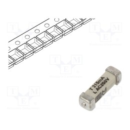 10 pcs : 3403.0161.24 - Fuse: fuse, time-lag, 315mA, 250VAC, 125VDC, SMD, ceramic, 3x10.1mm